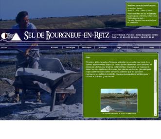 Sel de bourgneuf