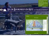 Sel de bourgneuf