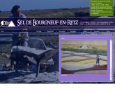 Sel de bourgneuf
